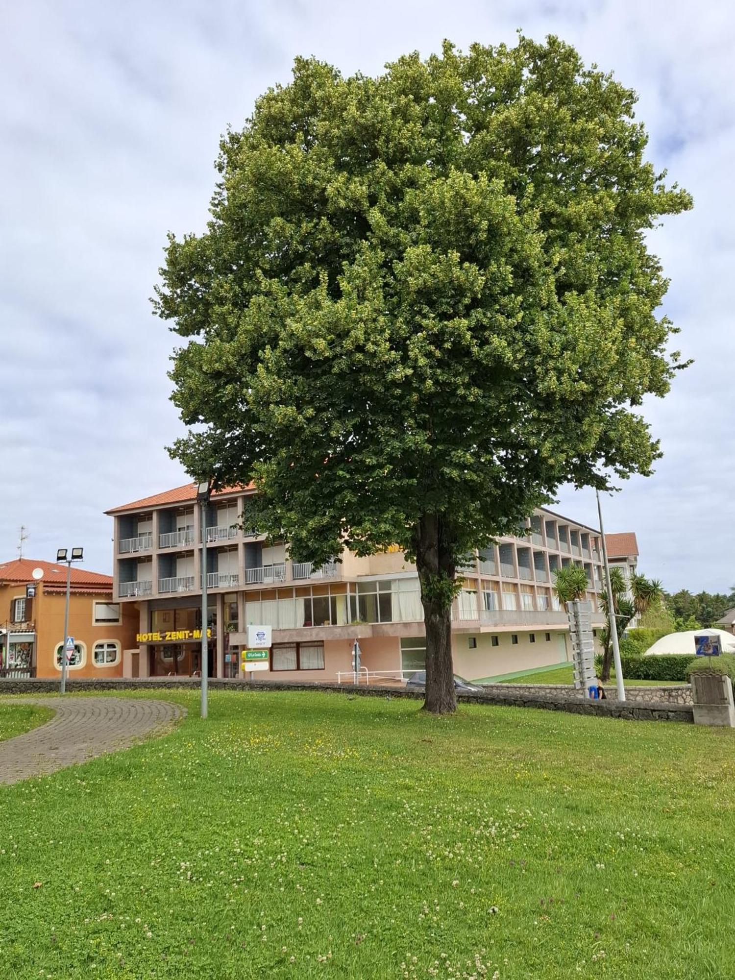 Hotel Zenit Mar Noja Exterior foto